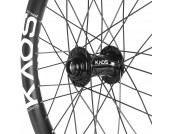 Pulse® Kaos v2 2024