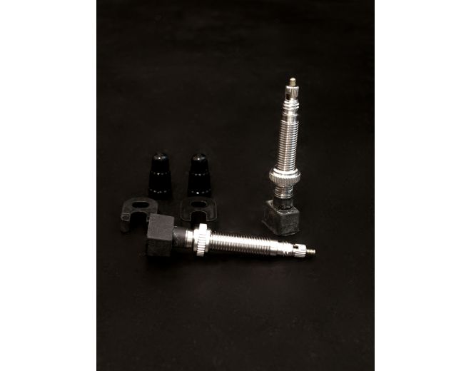 Valve Tubeless Pulse Valve Tubeless Pulse